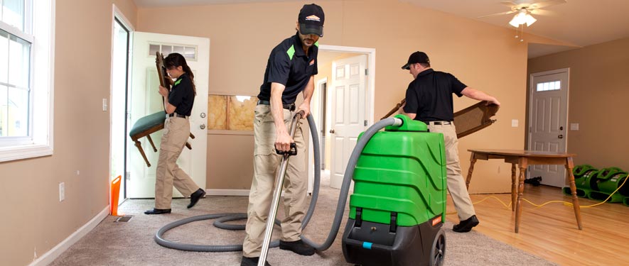 Lewes, DE cleaning services